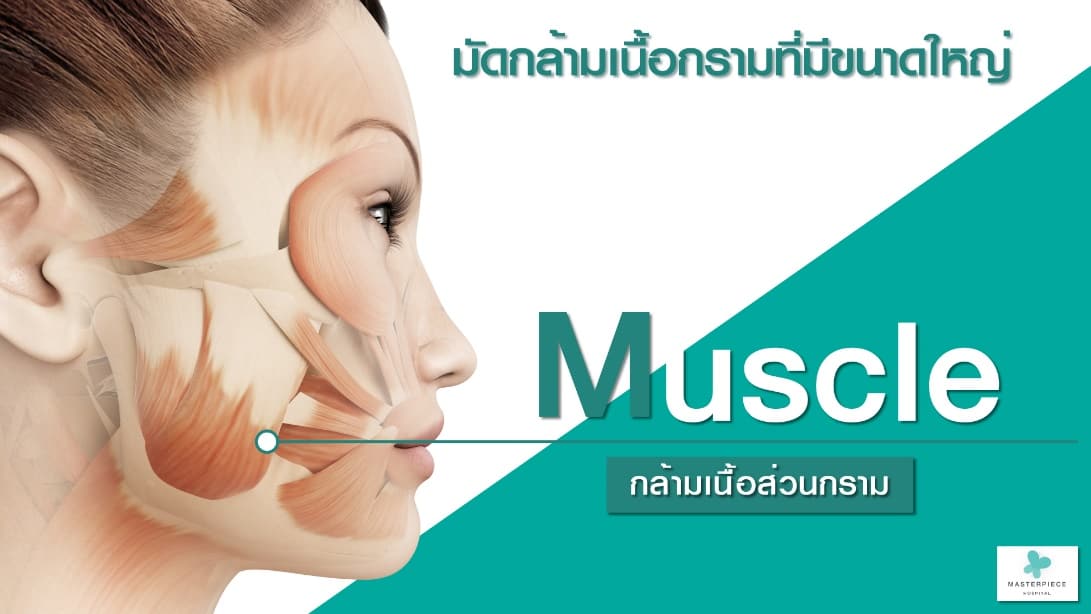 หน้าผู้หญิงหันข้าง การจำลองให้เห็นกล้ามเนื้อ กับข้อความชี้ไปที่กรามบ่งชี้ถึงกล้ามเนื้อส่วนกราม