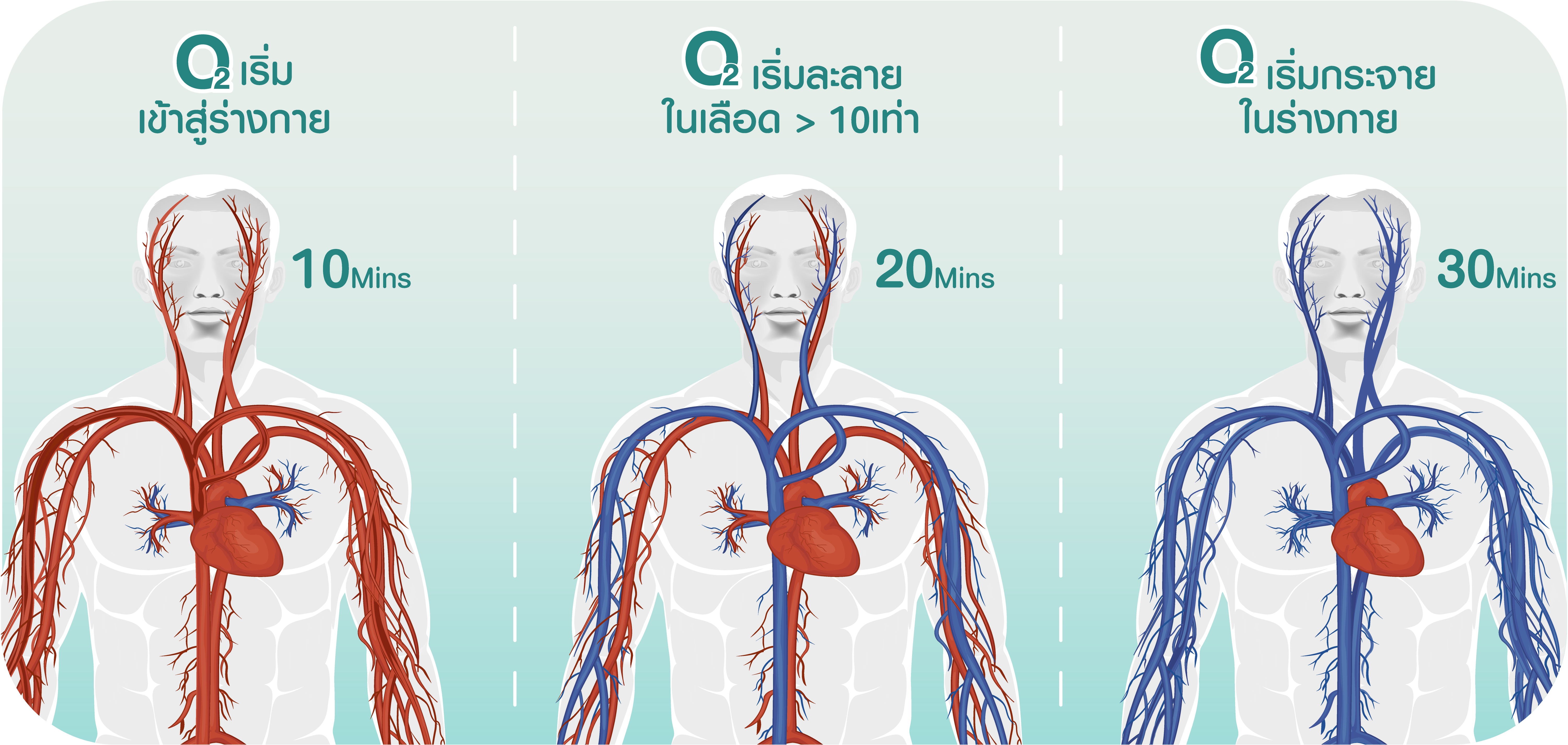 Hyperbaric oxygen therapy ช่วยเรื่องอะไร ดีกับร่างกายอย่างไร ทำไมถึงควรทำ