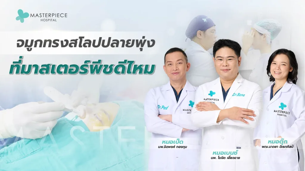 จมูกทรงสโลปปลายพุ่ง ที่มาสเตอร์พีชดีไหม