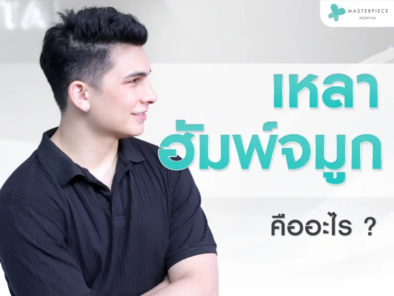 เหลาฮัมพ์จมูก คืออะไร