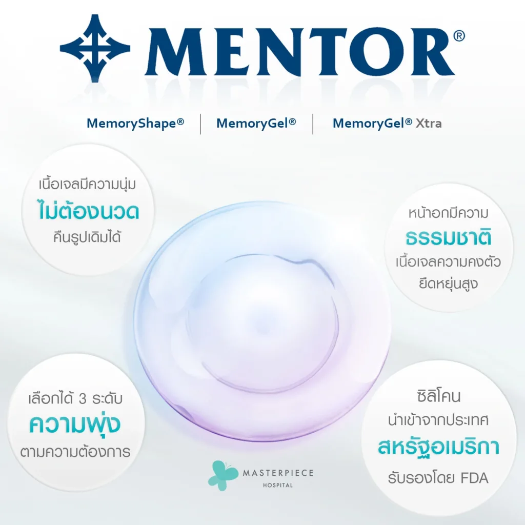 ซิลิโคน mentor